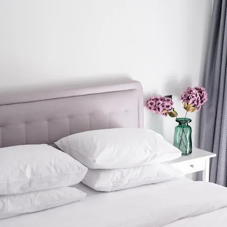 Apartment Armonia-city Center #skgbnb *